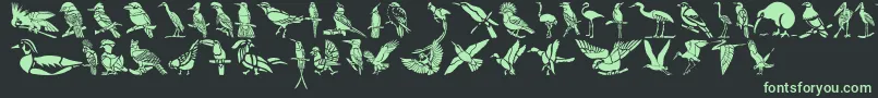 HFF Bird Stencil Font – Green Fonts on Black Background