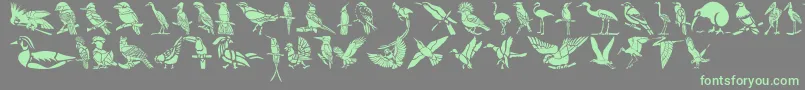 HFF Bird Stencil Font – Green Fonts on Gray Background