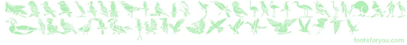 HFF Bird Stencil Font – Green Fonts