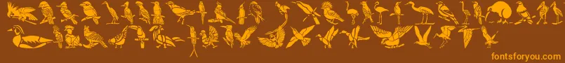 HFF Bird Stencil Font – Orange Fonts on Brown Background