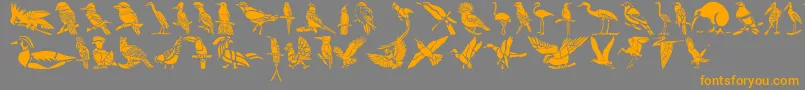 HFF Bird Stencil Font – Orange Fonts on Gray Background