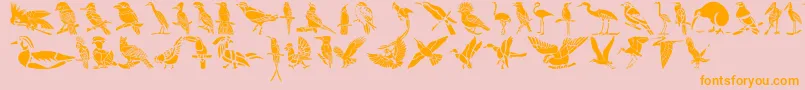 HFF Bird Stencil-Schriftart – Orangefarbene Schriften auf rosa Hintergrund