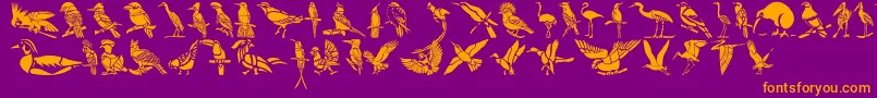 HFF Bird Stencil Font – Orange Fonts on Purple Background