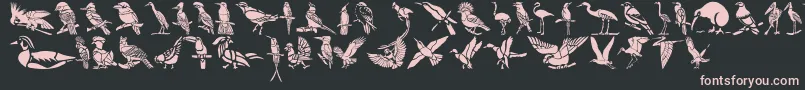 HFF Bird Stencil Font – Pink Fonts on Black Background