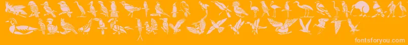 HFF Bird Stencil Font – Pink Fonts on Orange Background