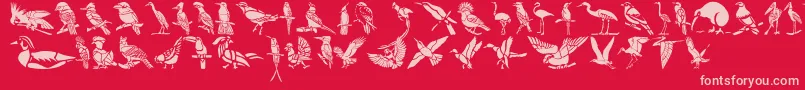 fuente HFF Bird Stencil – Fuentes Rosadas Sobre Fondo Rojo