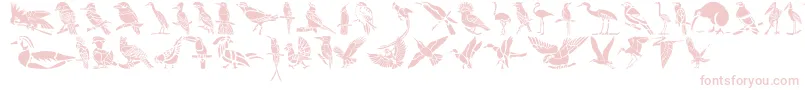 HFF Bird Stencil-Schriftart – Rosa Schriften