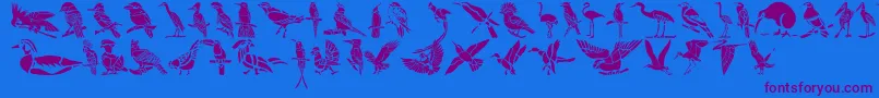 HFF Bird Stencil-Schriftart – Violette Schriften auf blauem Hintergrund