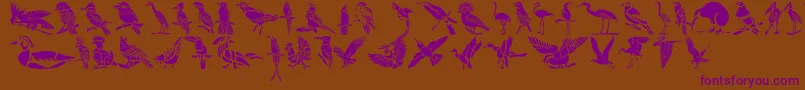 HFF Bird Stencil-Schriftart – Violette Schriften auf braunem Hintergrund