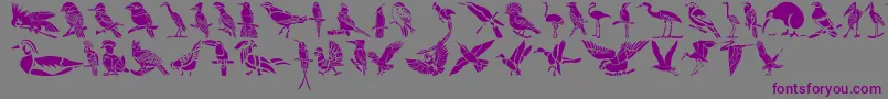 フォントHFF Bird Stencil – 紫色のフォント、灰色の背景