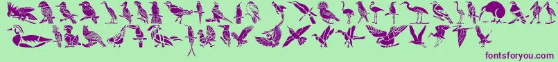 HFF Bird Stencil-Schriftart – Violette Schriften auf grünem Hintergrund