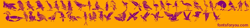 HFF Bird Stencil Font – Purple Fonts on Orange Background