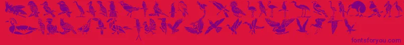 HFF Bird Stencil Font – Purple Fonts on Red Background