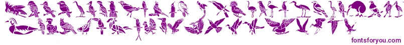 HFF Bird Stencil Font – Purple Fonts on White Background