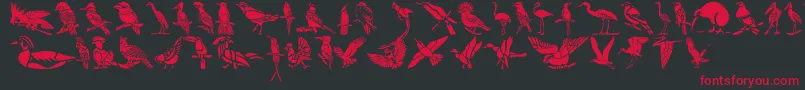 HFF Bird Stencil Font – Red Fonts on Black Background