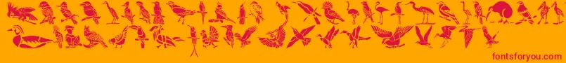 HFF Bird Stencil Font – Red Fonts on Orange Background