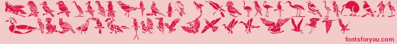 Police HFF Bird Stencil – polices rouges sur fond rose