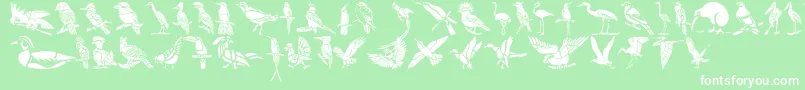 Шрифт HFF Bird Stencil – белые шрифты на зелёном фоне