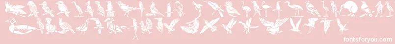 Czcionka HFF Bird Stencil – białe czcionki na różowym tle
