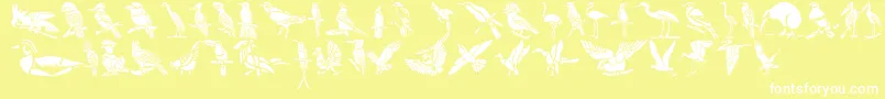 HFF Bird Stencil-Schriftart – Weiße Schriften auf gelbem Hintergrund