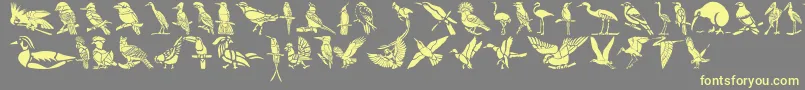 Fonte HFF Bird Stencil – fontes amarelas em um fundo cinza