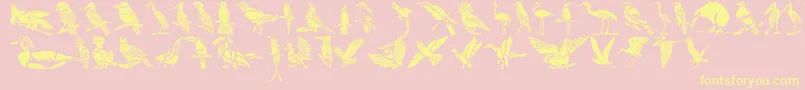 Police HFF Bird Stencil – polices jaunes sur fond rose