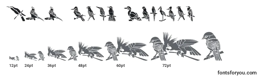 Tamaños de fuente HFF Bird Stencil
