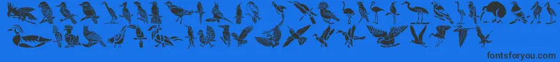 HFF Bird Stencil-Schriftart – Schwarze Schriften auf blauem Hintergrund