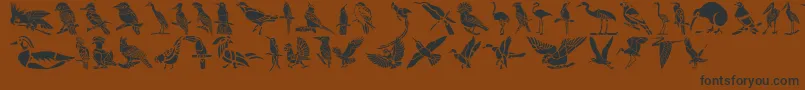 Шрифт HFF Bird Stencil – чёрные шрифты на коричневом фоне