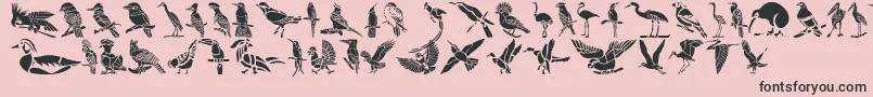 fuente HFF Bird Stencil – Fuentes Negras Sobre Fondo Rosa