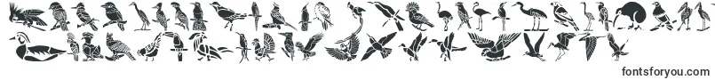 Czcionka HFF Bird Stencil – czcionki, zaczynające się od H