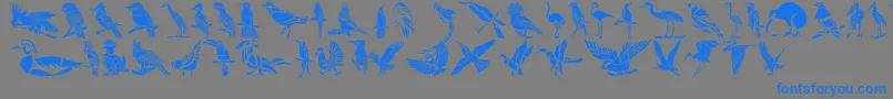 fuente HFF Bird Stencil – Fuentes Azules Sobre Fondo Gris