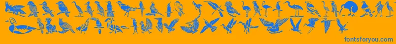 Police HFF Bird Stencil – polices bleues sur fond orange