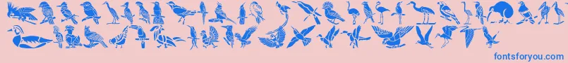 HFF Bird Stencil-Schriftart – Blaue Schriften auf rosa Hintergrund