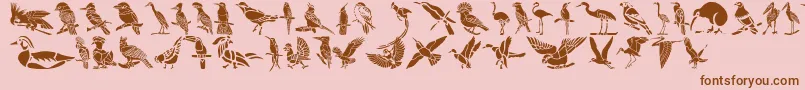 HFF Bird Stencil-Schriftart – Braune Schriften auf rosa Hintergrund