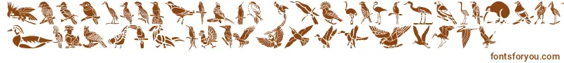 fuente HFF Bird Stencil – Fuentes Marrones Sobre Fondo Blanco