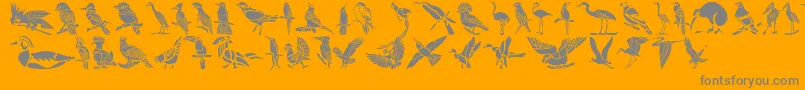 HFF Bird Stencil-Schriftart – Graue Schriften auf orangefarbenem Hintergrund