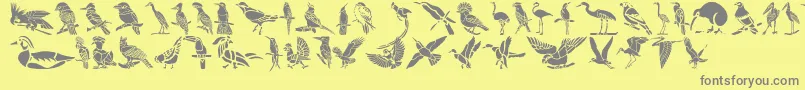 HFF Bird Stencil Font – Gray Fonts on Yellow Background