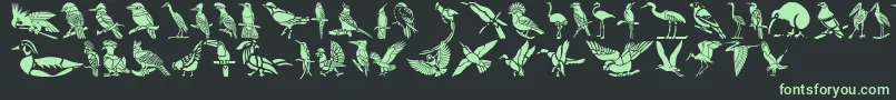 HFF Bird Stencil Font – Green Fonts on Black Background