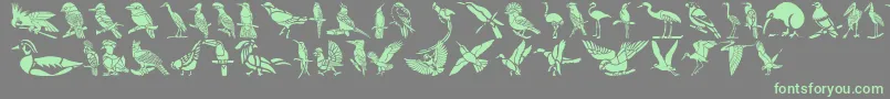 Шрифт HFF Bird Stencil – зелёные шрифты на сером фоне