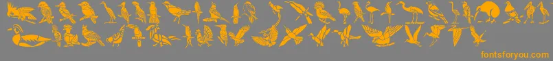 フォントHFF Bird Stencil – オレンジの文字は灰色の背景にあります。