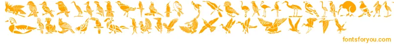 Fonte HFF Bird Stencil – fontes laranjas em um fundo branco