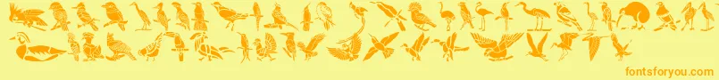 Police HFF Bird Stencil – polices orange sur fond jaune