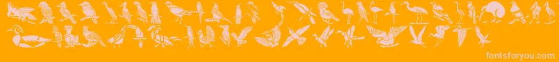 Шрифт HFF Bird Stencil – розовые шрифты на оранжевом фоне