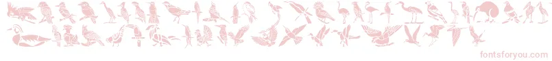 HFF Bird Stencil-Schriftart – Rosa Schriften