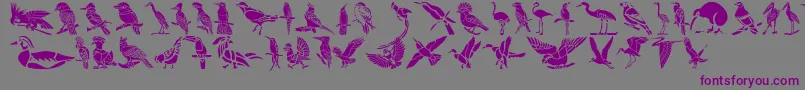 Fonte HFF Bird Stencil – fontes roxas em um fundo cinza