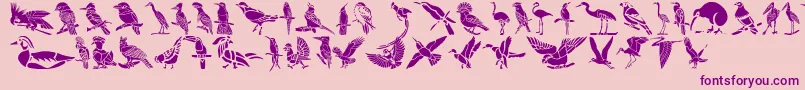 HFF Bird Stencil-fontti – violetit fontit vaaleanpunaisella taustalla