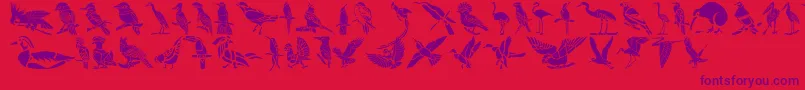 HFF Bird Stencil-Schriftart – Violette Schriften auf rotem Hintergrund