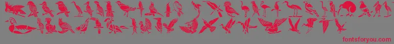 Police HFF Bird Stencil – polices rouges sur fond gris