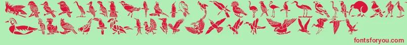 Czcionka HFF Bird Stencil – czerwone czcionki na zielonym tle